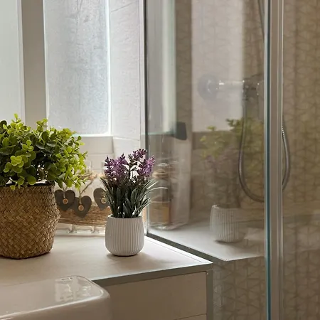 Loyola Premium Centro Cordova