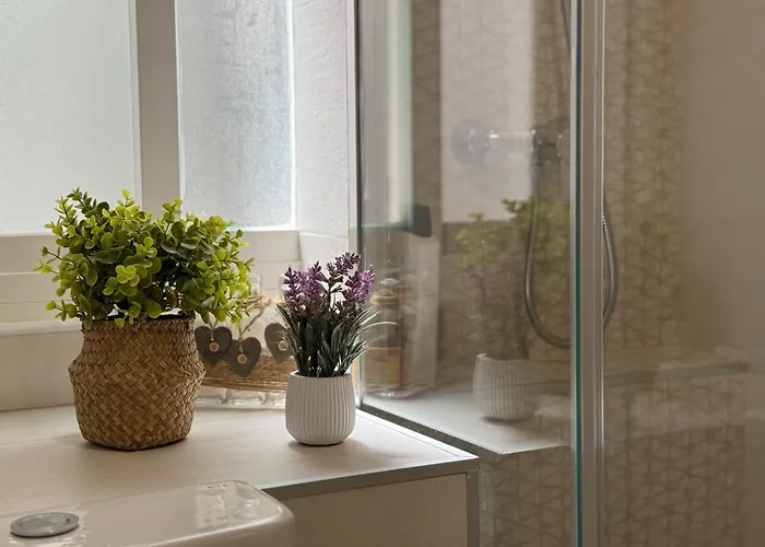 Loyola Premium Centro قرطبة